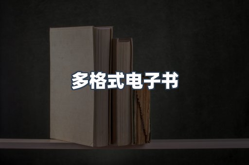 多格式电子书